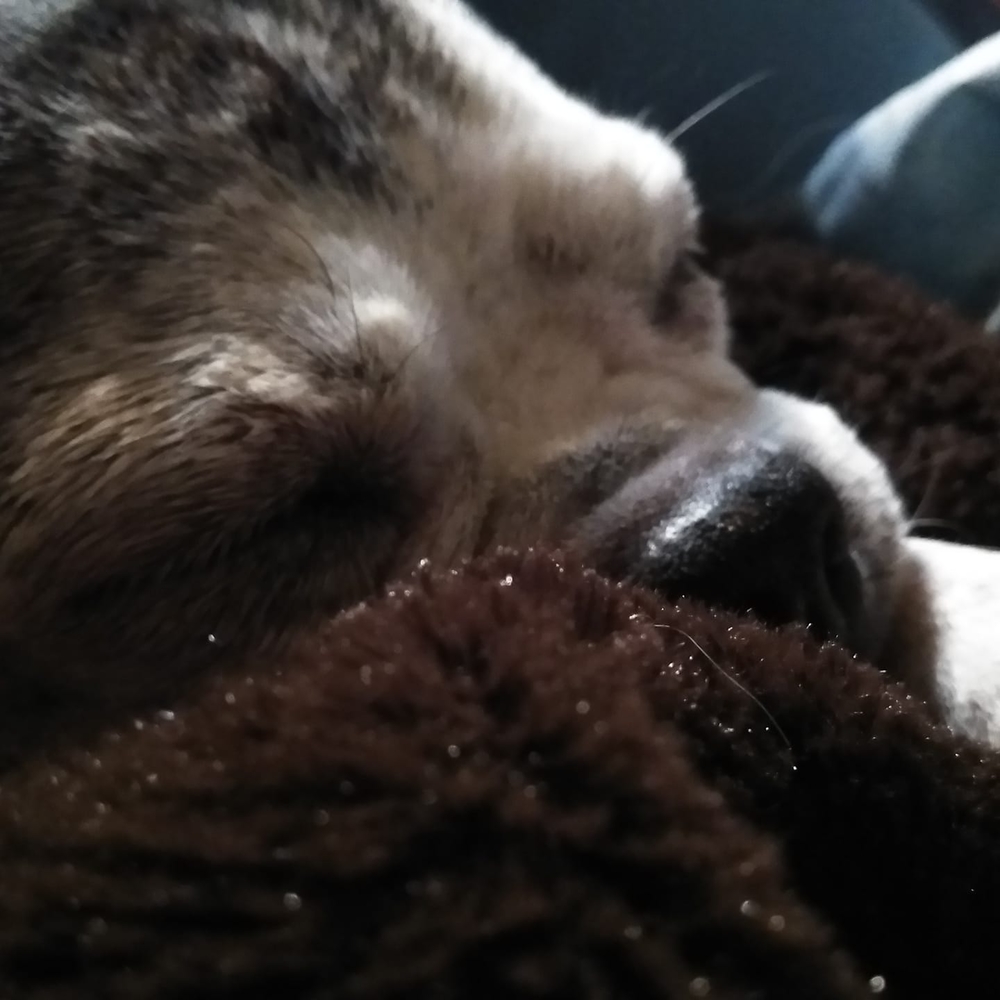 Meet your Posher, Rebekah